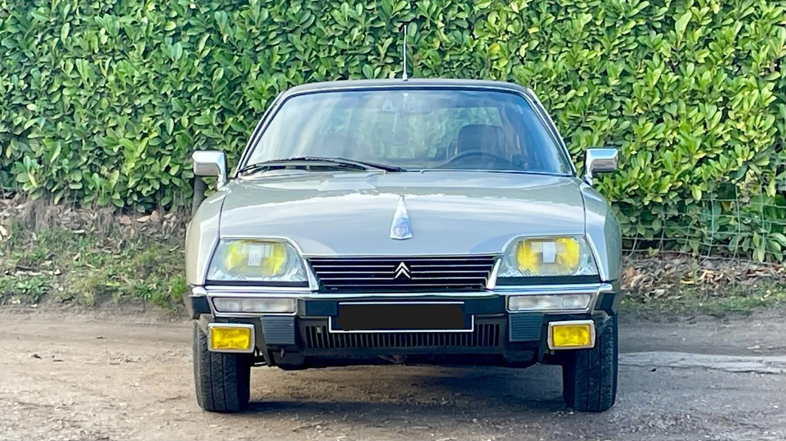 Image pour voiture 19