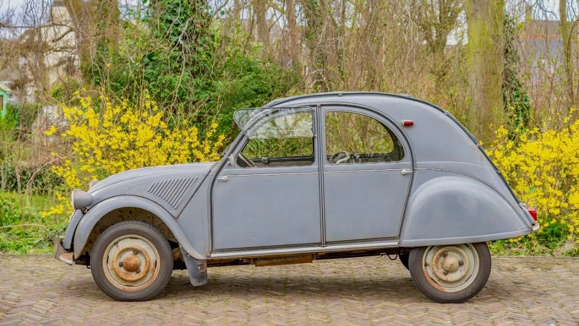 Image pour voiture 37